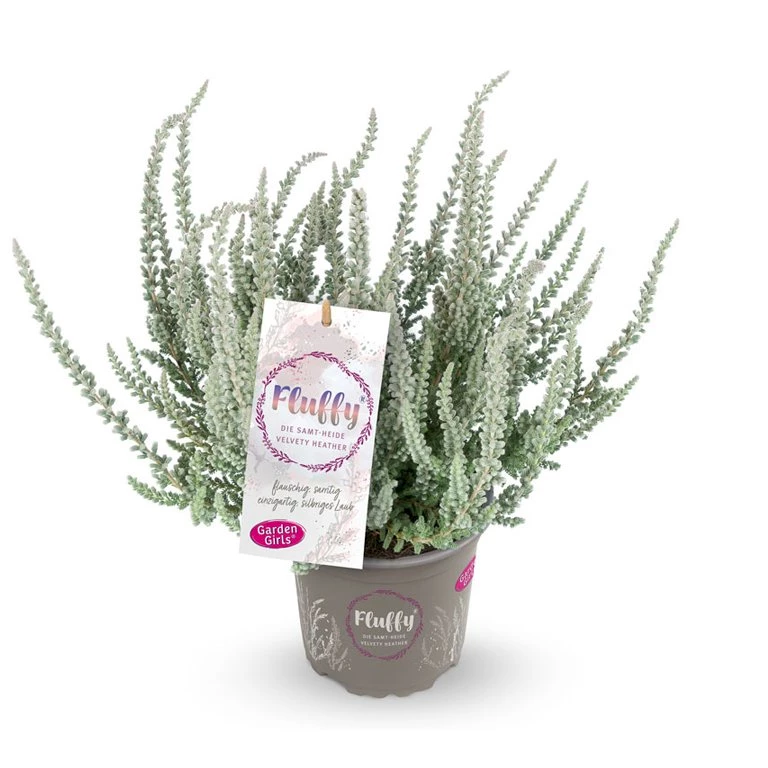 Gardengirls® Fluffy® Packshot mit Etikett