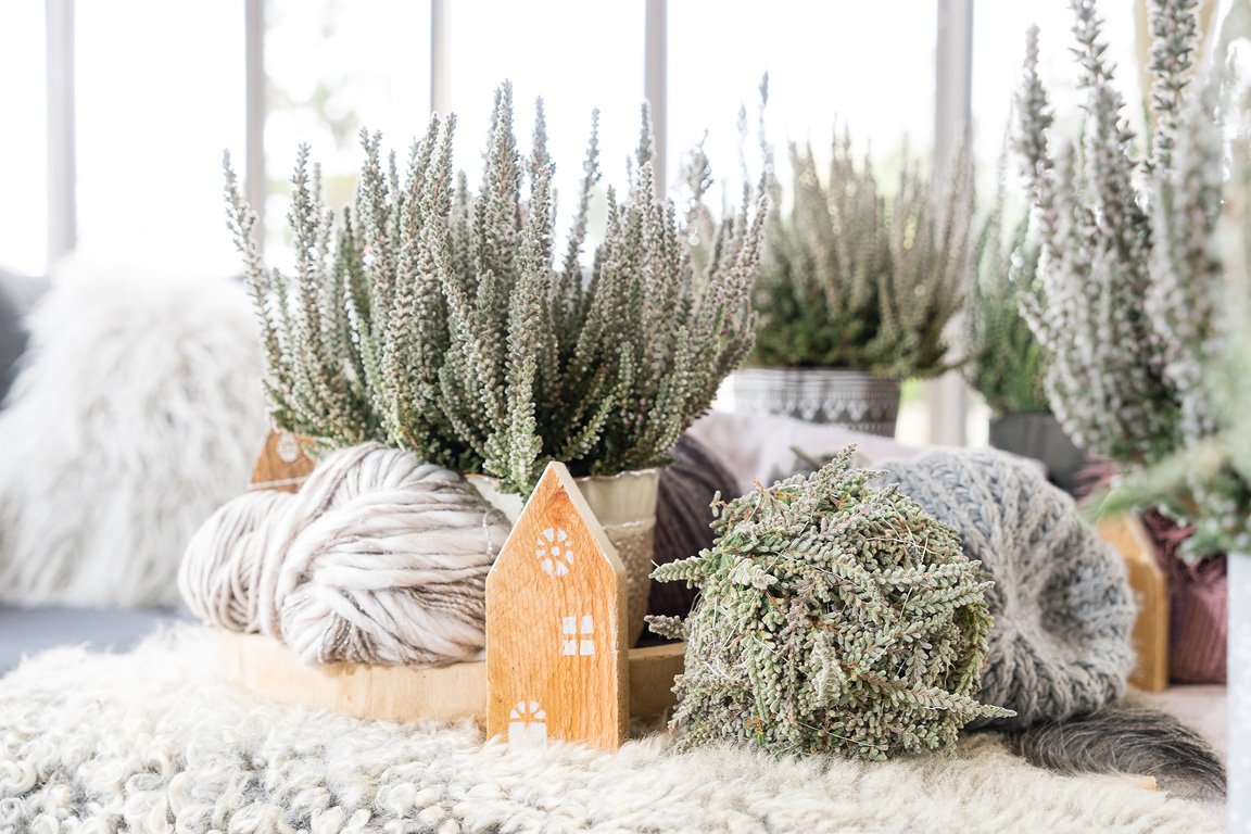 Gardengirls® Fluffy® winterliche Dekoration mit der Samt-Heide Fluffy