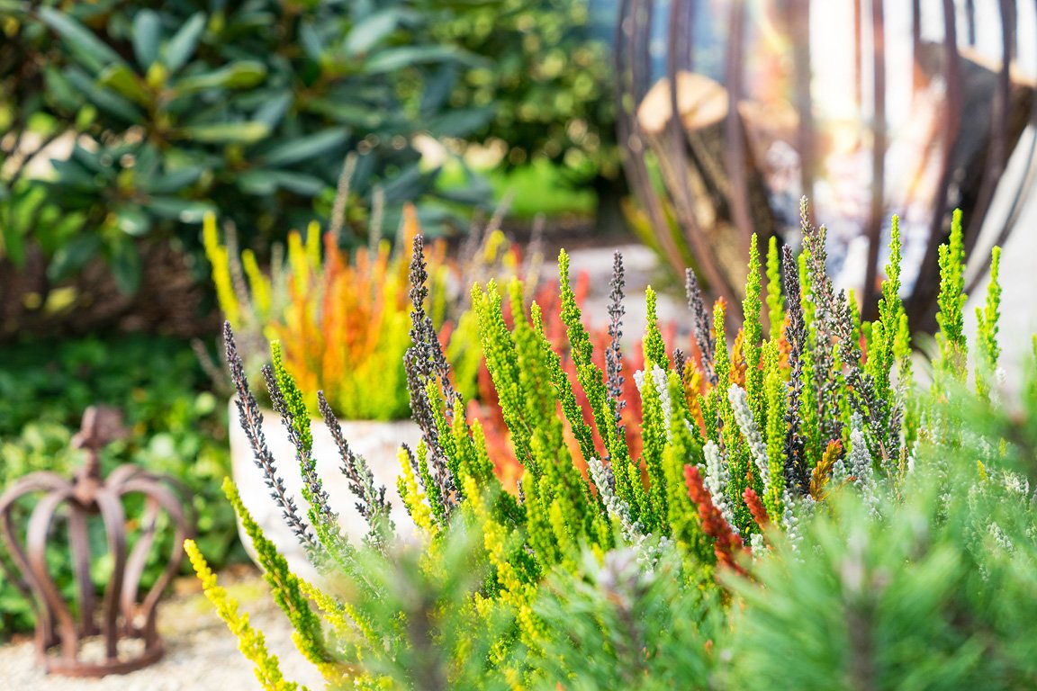 Gardengirls® Sunset Fire® Terrassen-Dekoration mit den Trio-Kombinationen in Töpfen