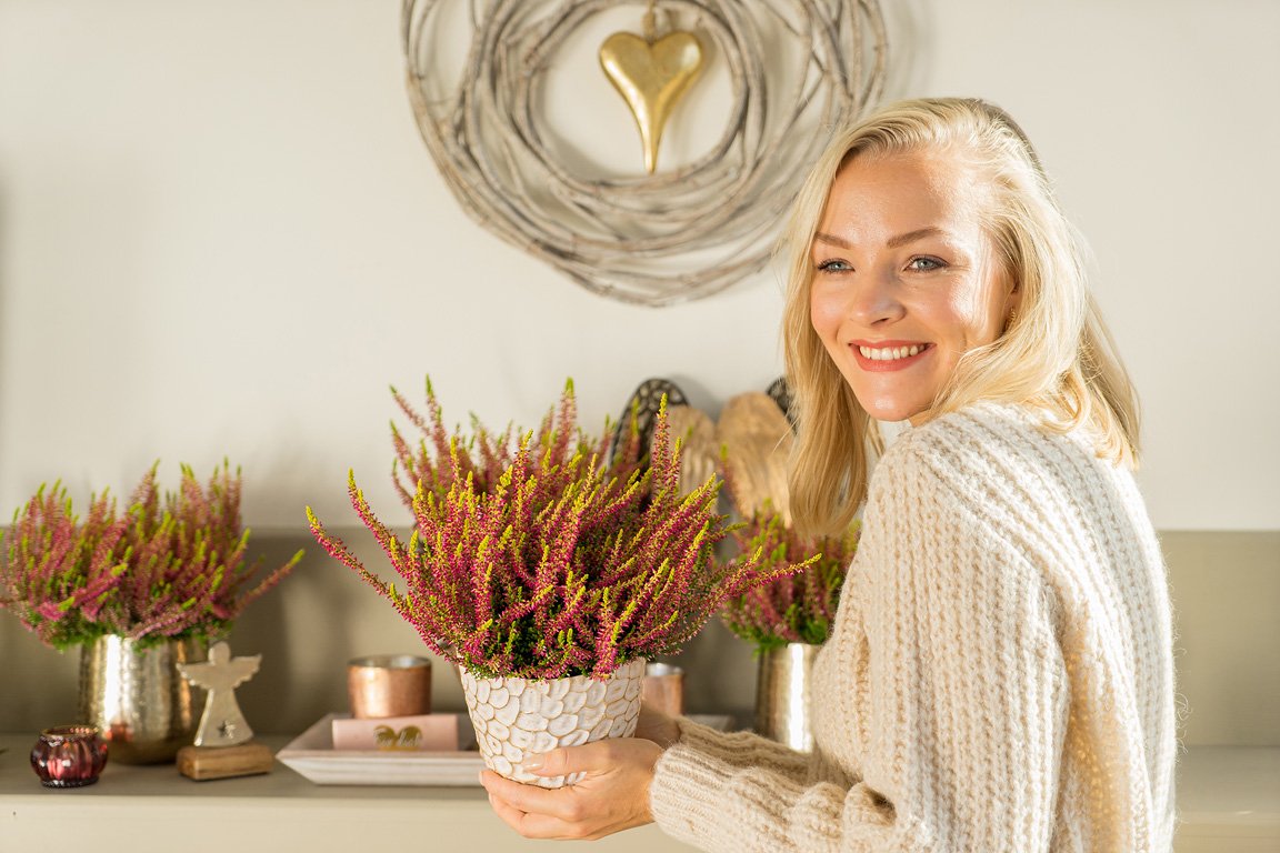 Gardengirls® Golden Angie bringt die Natur ins Haus und setzen mit ihrem aus grasgrünem und goldgelbem Laub mit roten Blütenknospen schöne Farbakzente