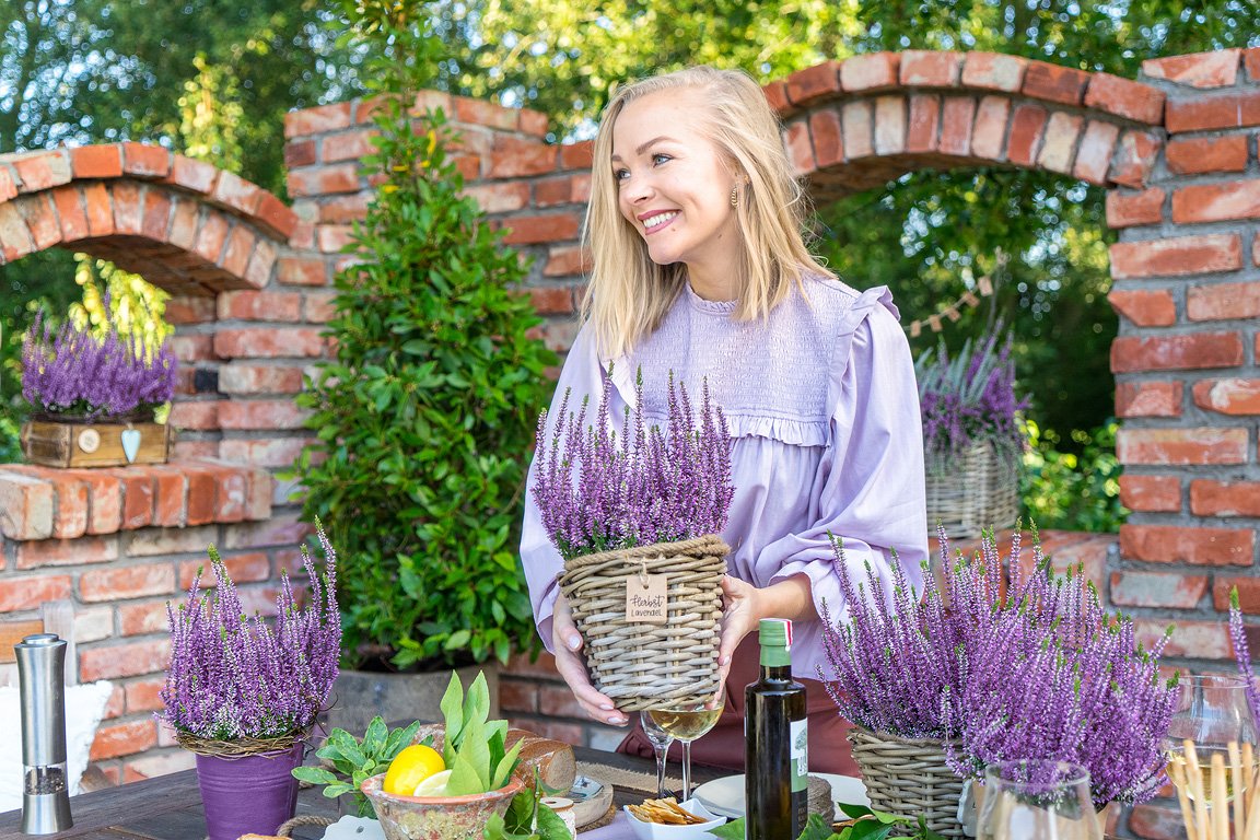 Gardengirls® Herbstlavendel Terrassen-Dekoration mit Heide im Lavendel-Style in Töpfen