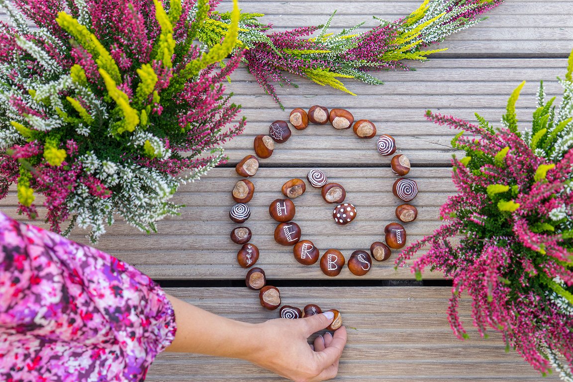 Gardengirls® Twister® herbstliche Heide-Dekoration mit Kastanien