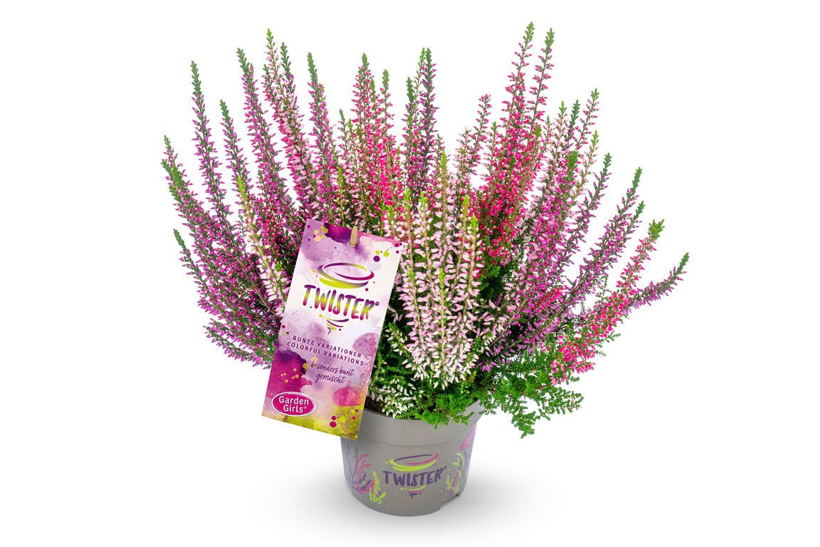 Gardengirls® Twister® Packshot