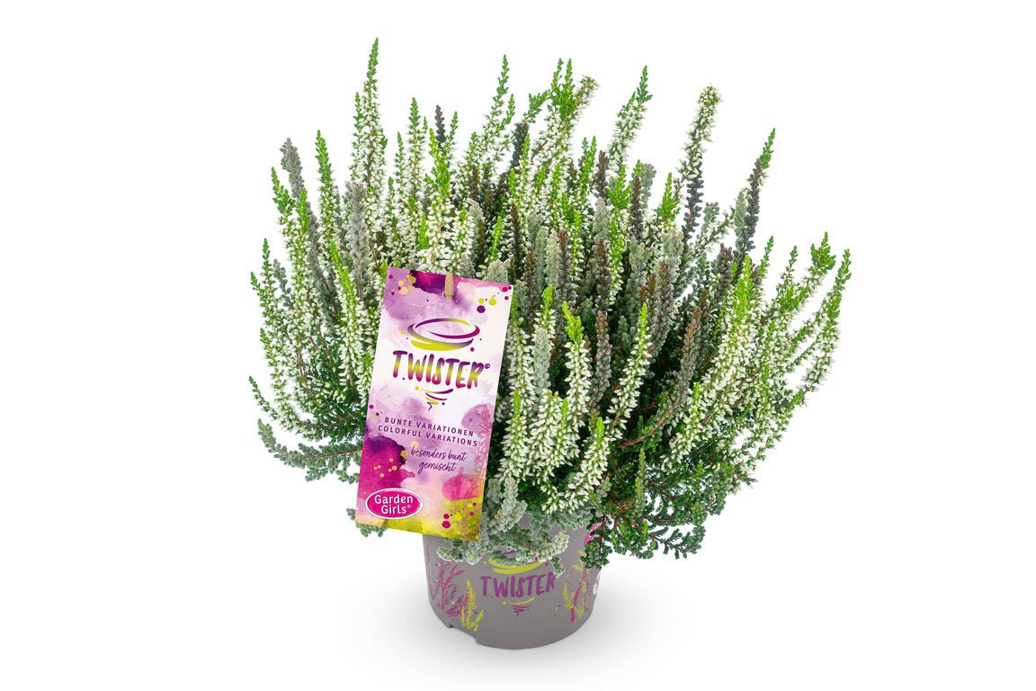 Gardengirls® Twister® Packshot