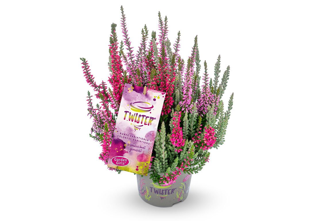Gardengirls® Twister Packshot