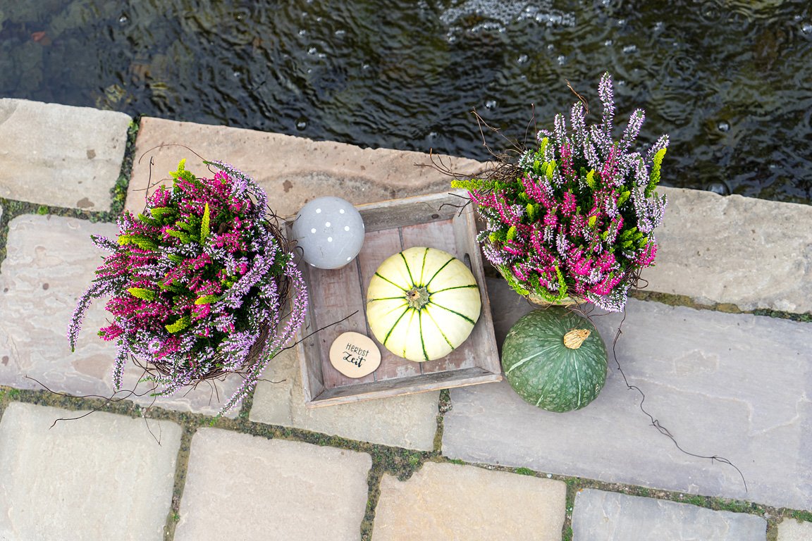 Gardengirls® Twister® Terrassen-Dekoration mit Heide in Töpfen