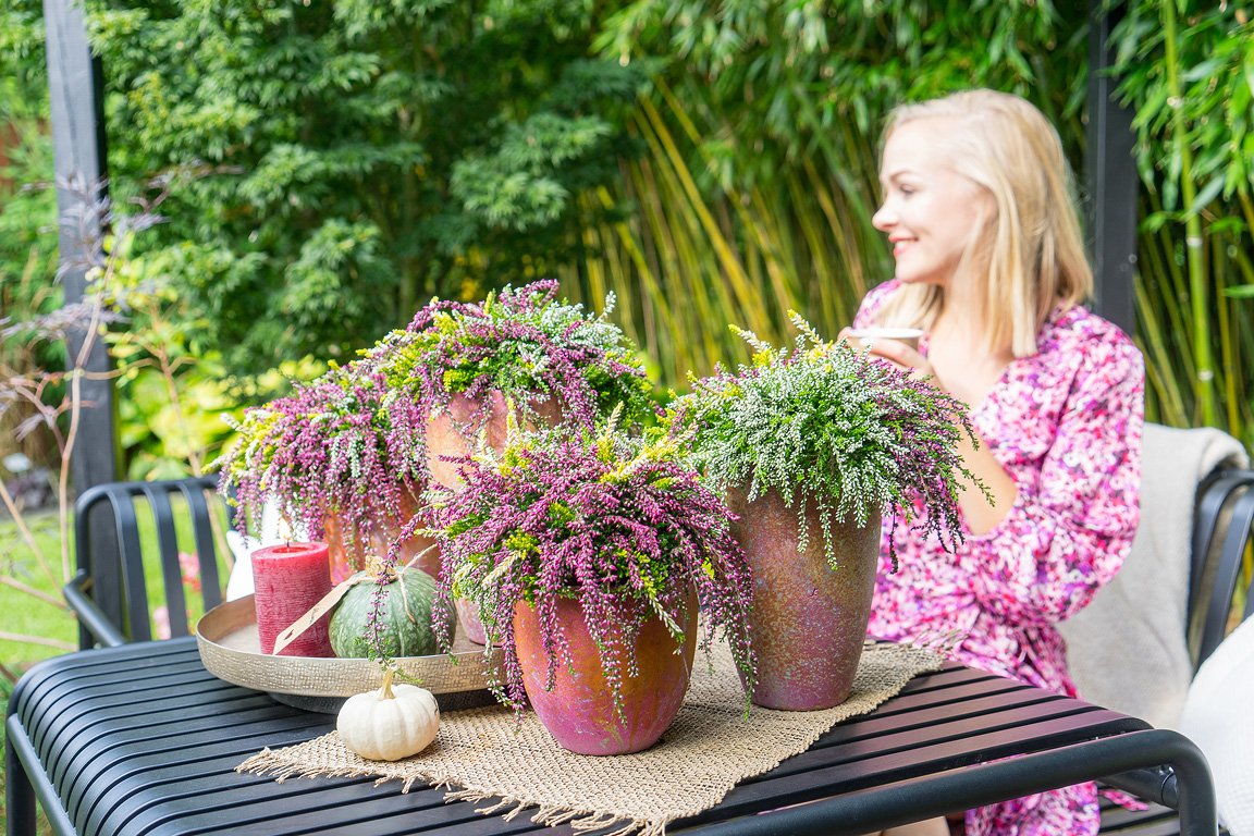 Gardengirls® Rasta Girls® farbenfrohe Heide-Dekoration auf der Terrasse