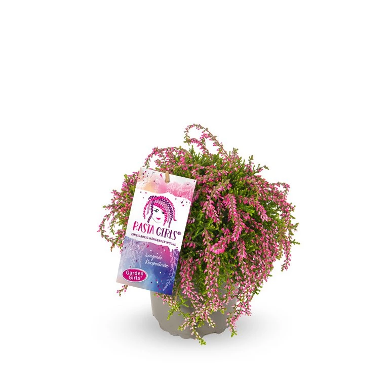 Gardengirls® Rasta Girls® Maite Packshot