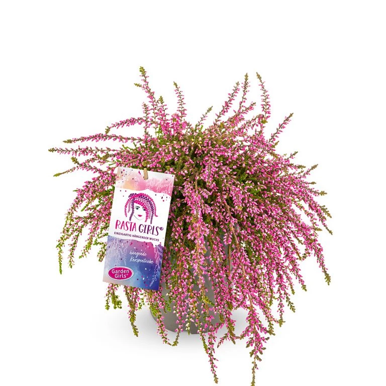 Gardengirls® Rasta Girls® Janina Packshot