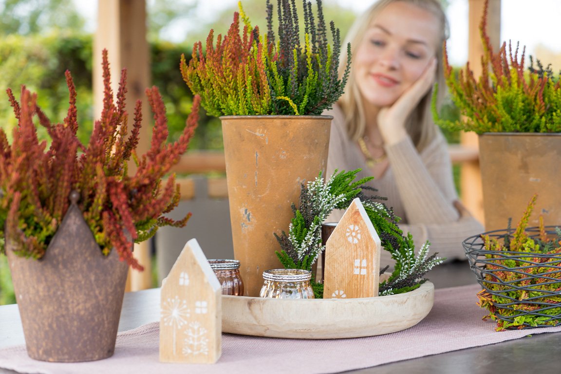 Gardengirls® Sunset Girls® farbenfrohe Heide-Dekoration auf der Terrasse