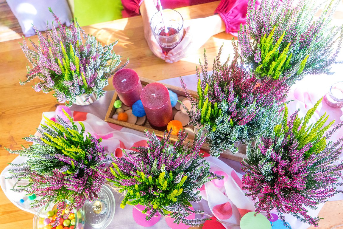 Gardengirls® Smixies® farbenfrohe Heide-Dekoration auf dem Tisch