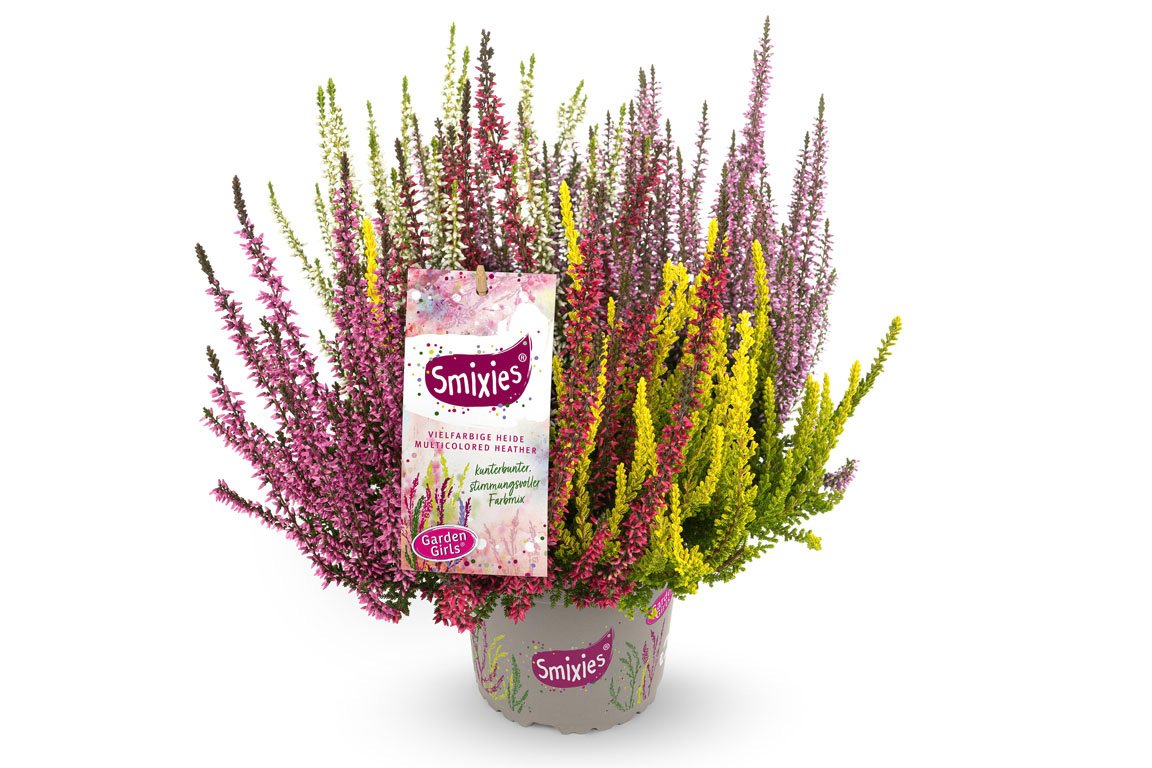 Gardengirls® Smixies® Packshot