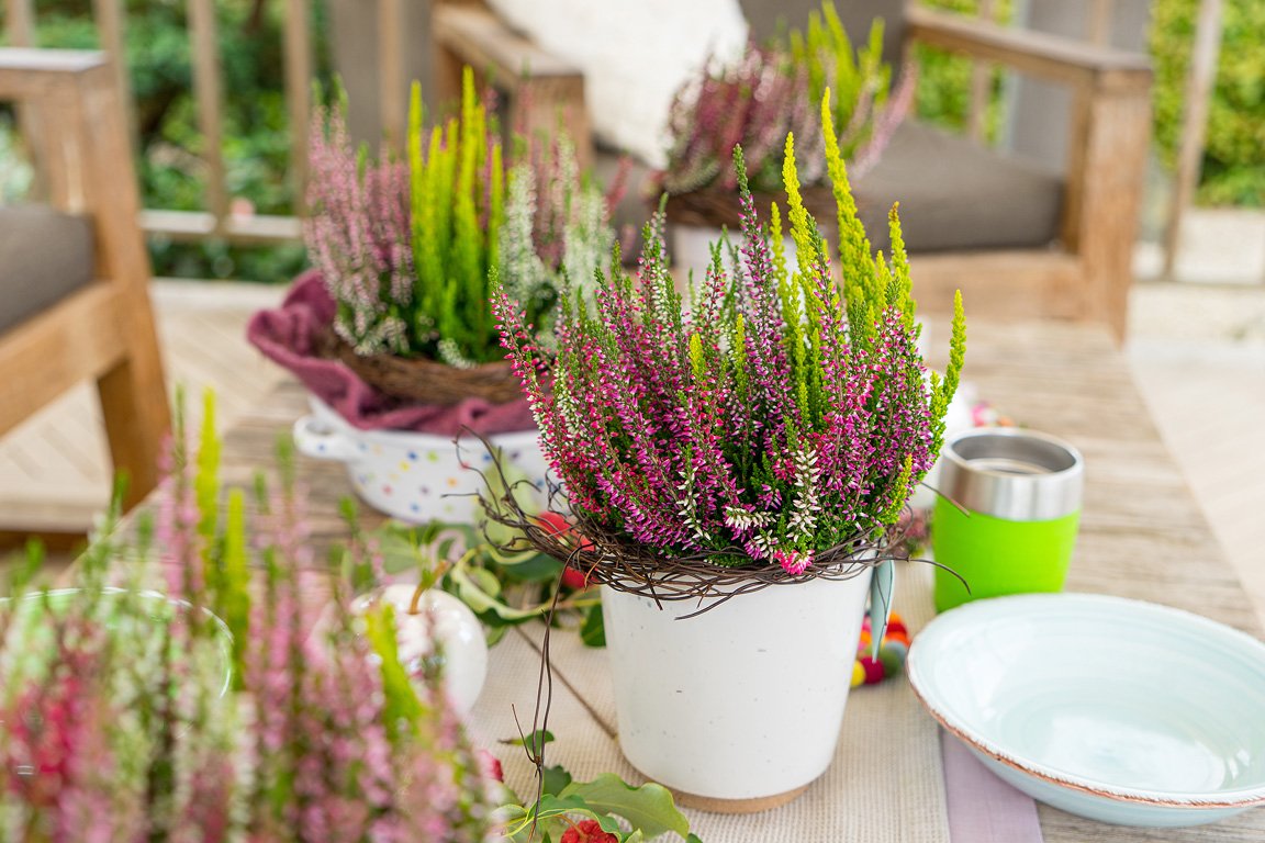 Gardengirls® Smixies® farbige Tischdekoration auf der Terrasse