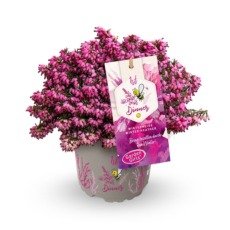 Gardengirls® 1st Dinner® Packshot