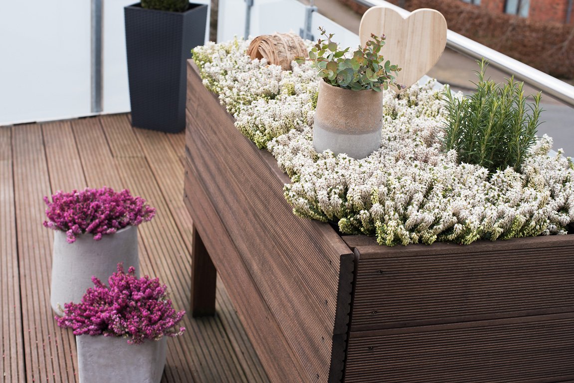 Gardengirls® 1st Dinner® Winterheide im Hochbeet auf der Dachterrasse
