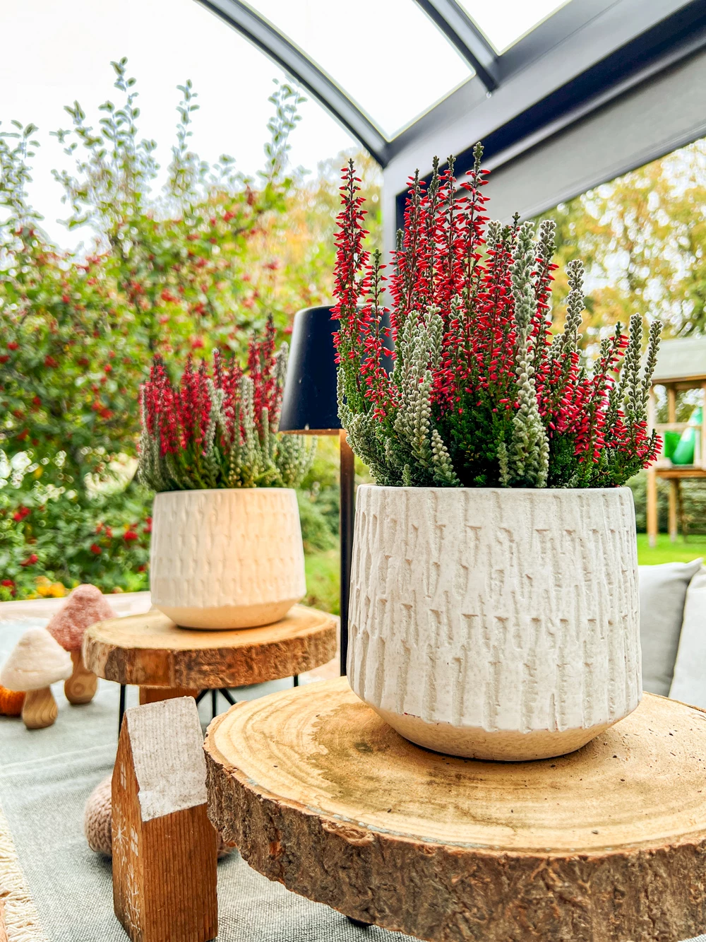 Gardengirls® herbstliche Terrassendeko mit Heide im Kübel, Holzhäuser und Heide in Herzform