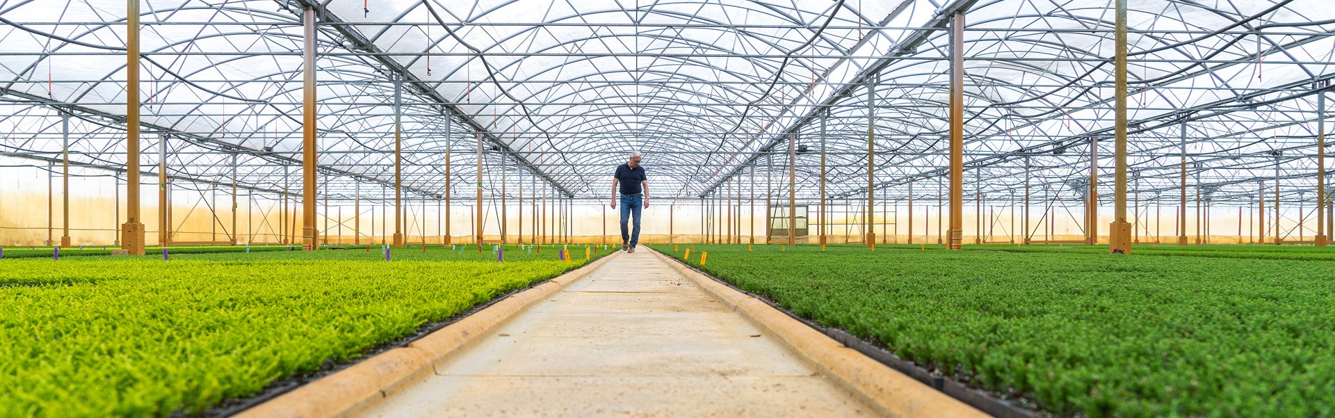 Jan Kapels Heidekulturen im Tunnel