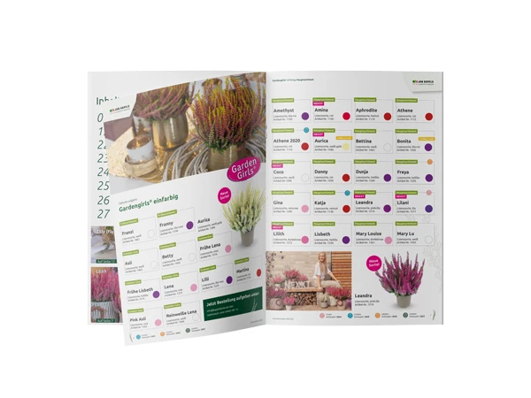 Jan Kapels Versandhalle mit CCs