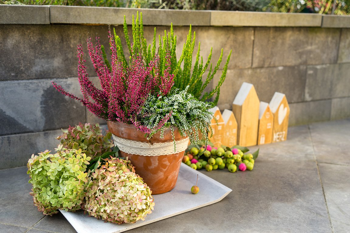 Gardengirls® Up Down Girl im Topf als Terrassendekoration