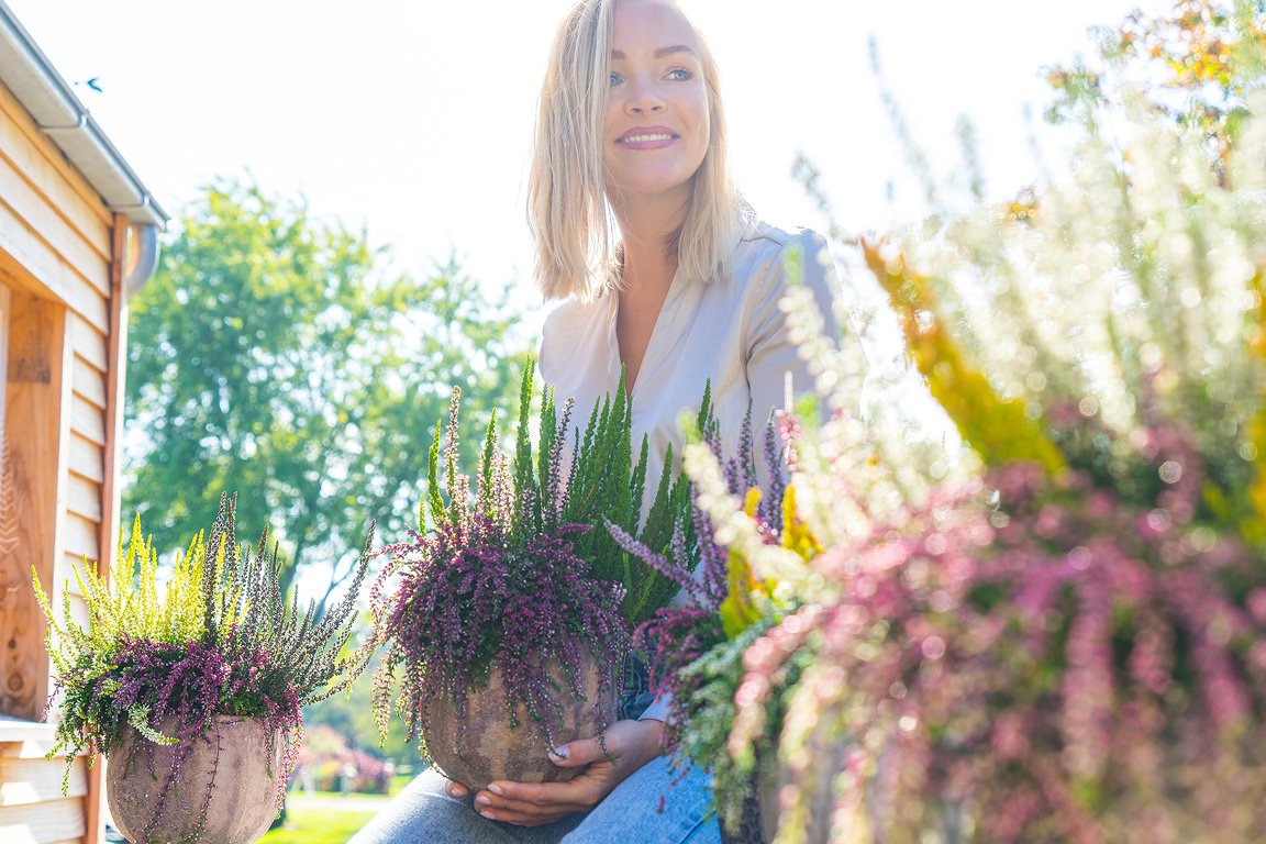 Gardengirls® Up Down Girl Heide im Topf