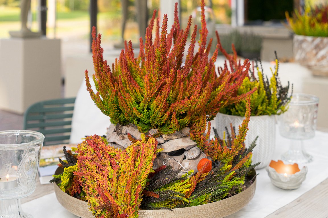 Gardengirls® Sunset Girls® stimmungsvolle farbenfrohe Tischdekoration