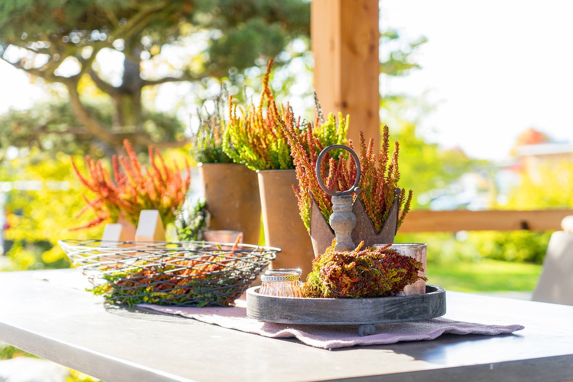 Gardengirls® Sunset Girls® stimmungsvolle Tischdekoration in Herbstfarben