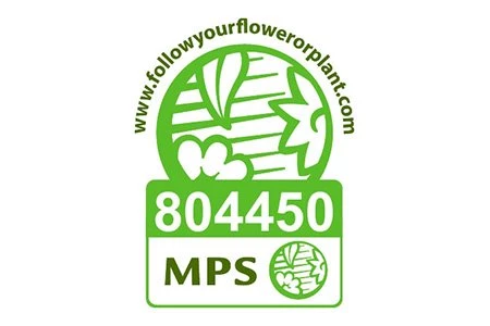 Jan Kapels Heidejungpflanze MPS Umweltzertifikat