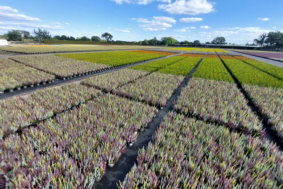 Unsere Produkte bei unseren Kunden