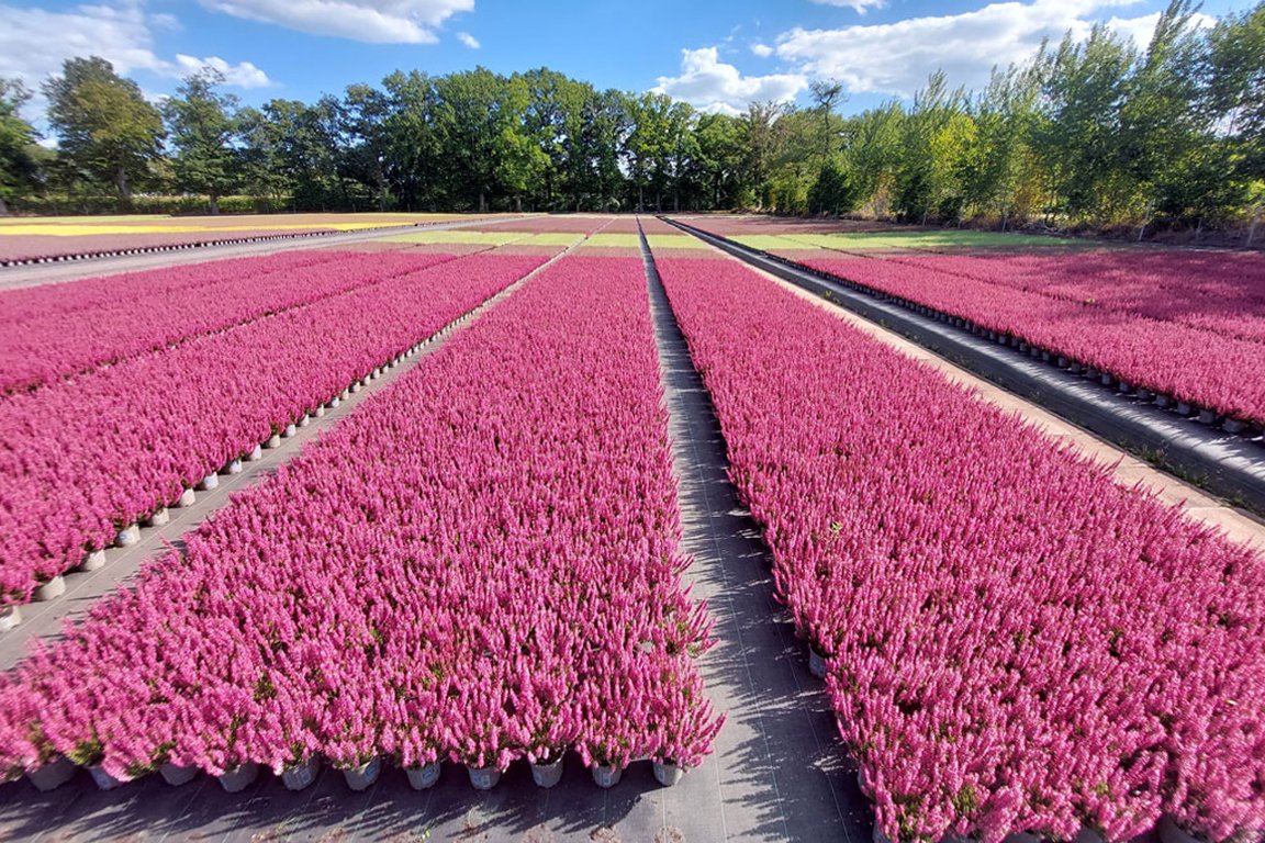 Unsere Produkte bei unseren Kunden
