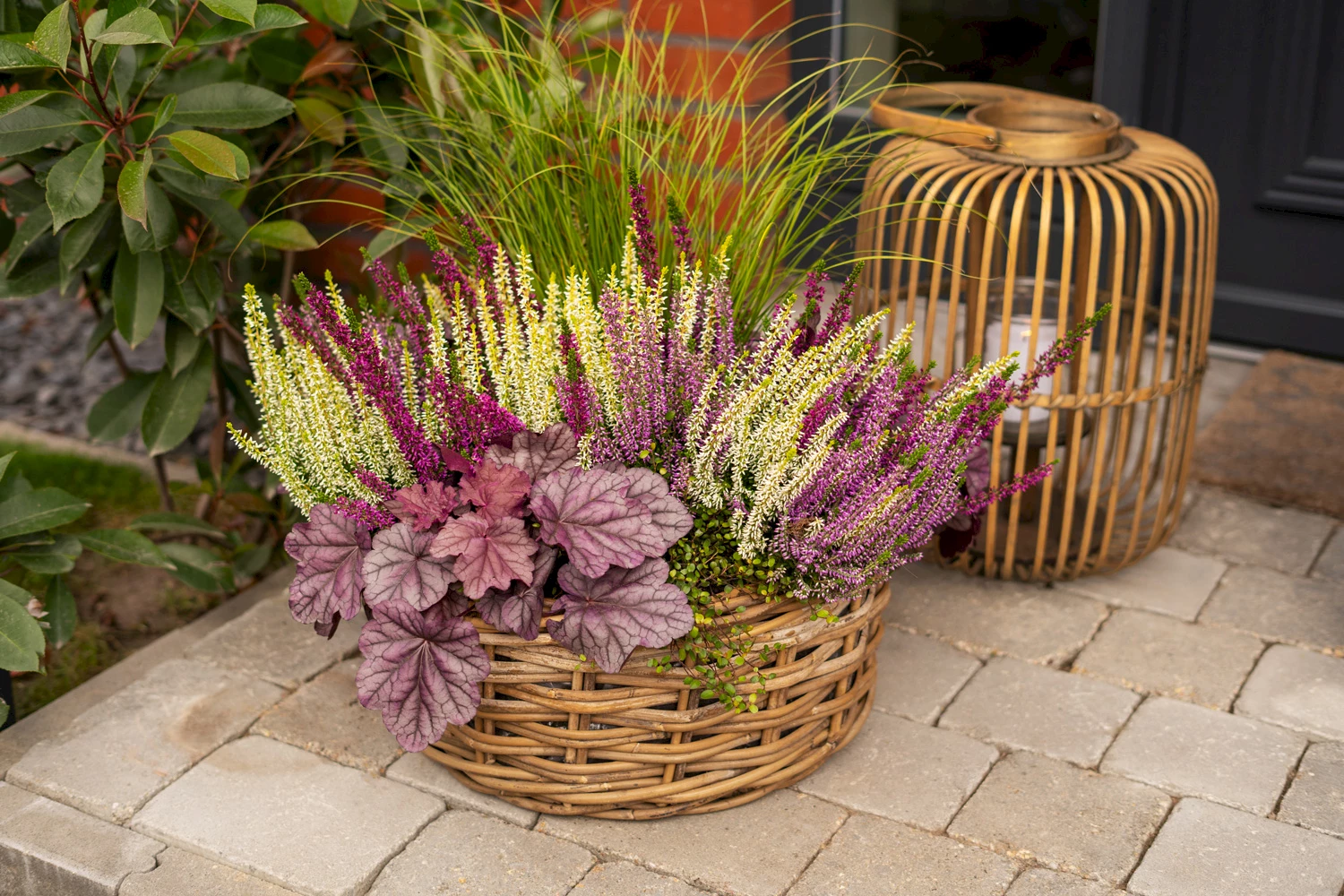 Gardengirls® gemütliche Terrassendekoration - Heide im Kübel mit Frau und Kaffee in der Hand
