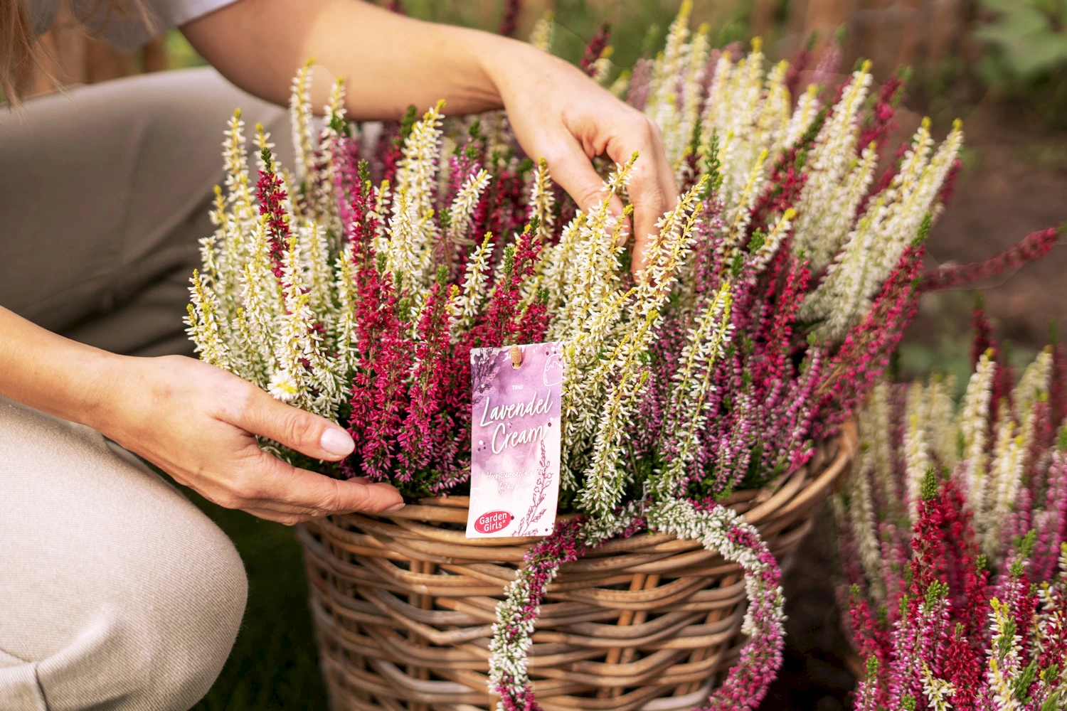 Gardengirls® herbstliche Deko im Kübel mit Heide