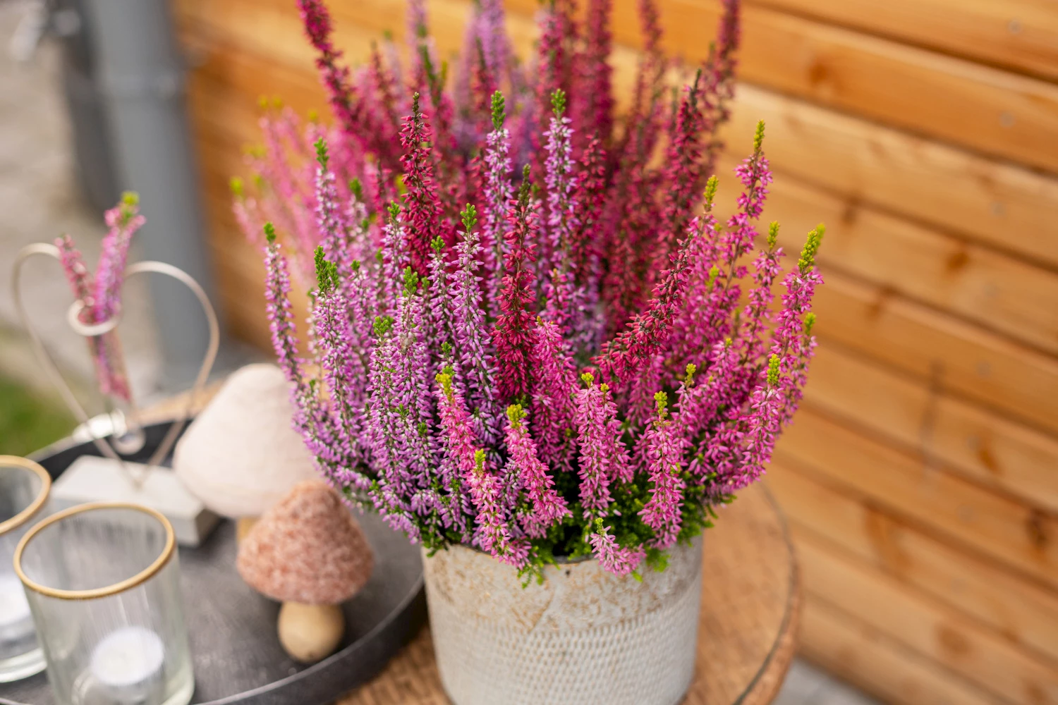Gardengirls® Knospenheide als Tischdekoration im Garten mit goldenen Töpfen, Tablett, Bilderrahmen und Windlichtern